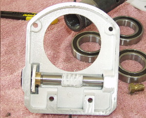 The assembled RA worm carrier